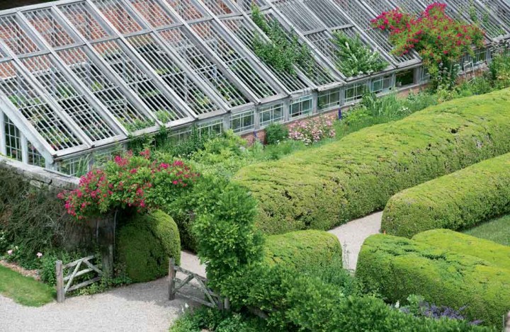 A quarter-mile of boxwood hedges distinguishes Stone Acres’ expansive gardens. Here, rambling roses climb the top of the wood-and-glass grapery. 