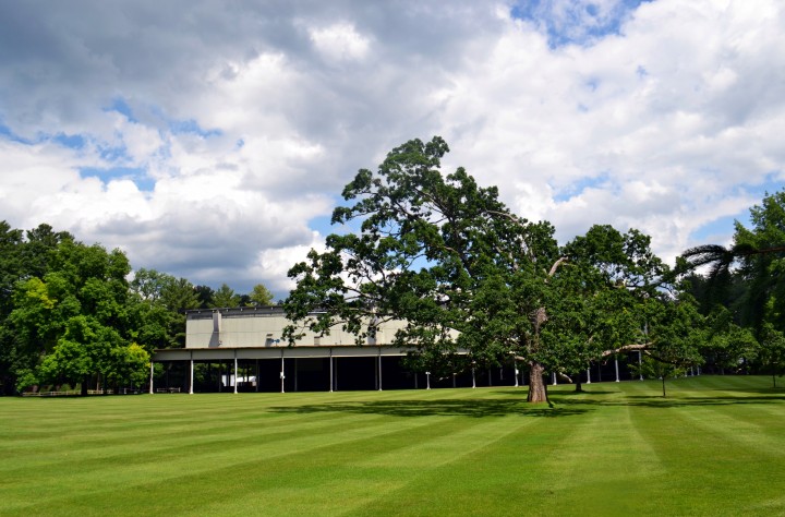 Tanglewood Lawn 