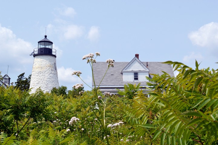 castine dyce head light