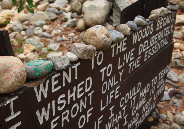 Rocks and stones decorate the sign beside Thoreau's cabin site.