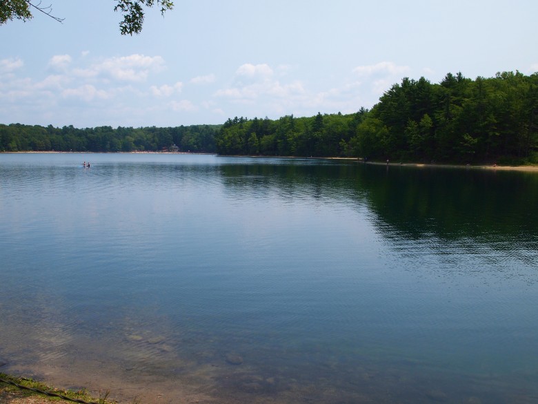 Walden Pond A Whimsical Walk through Nature and History New England