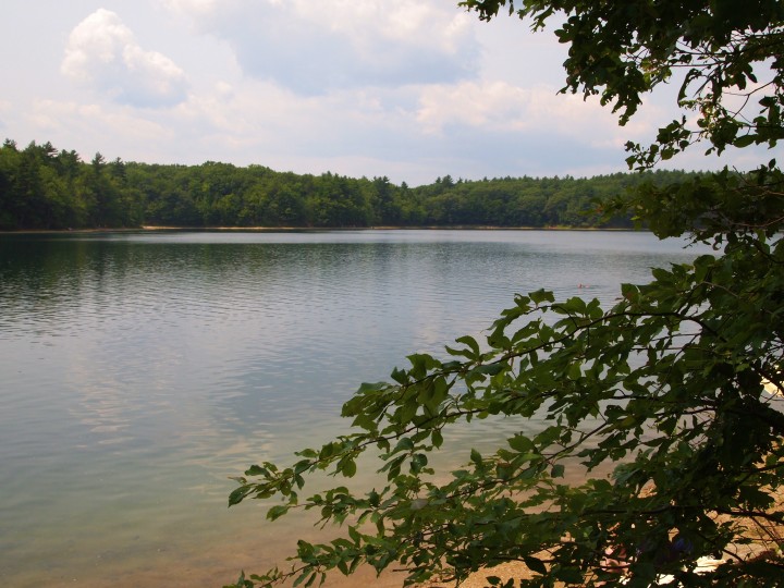 Walden Pond's surface is clear, tranquil, and undisturbed. 