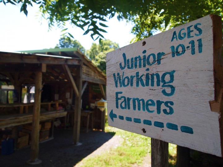 Junior working farmers man the farmstand, which sells the farm's fresh produce and organic flowers to visitors.