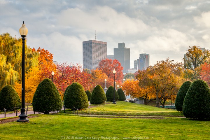 Boston Common, Massachusetts