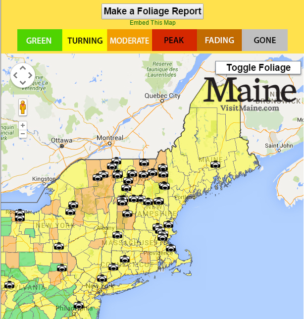 New England Foliage Map