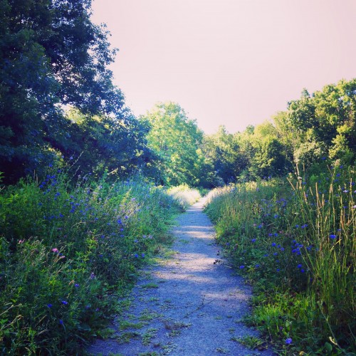 Nine Men's Misery A Historic (and Possibly Haunted) Site in