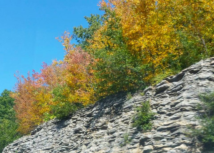 Ledges and outcroppings are leading out the parade of colors this year. 