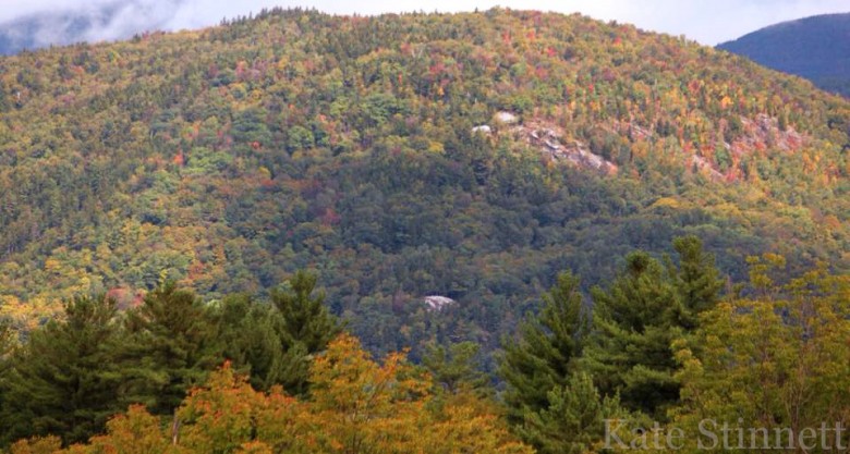Early color in higher terrain