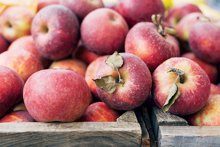 in-season-apples
