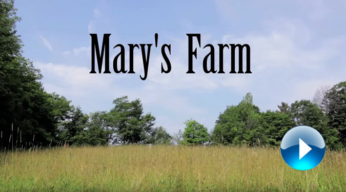 marys-farm-so-675&#215;375-v3