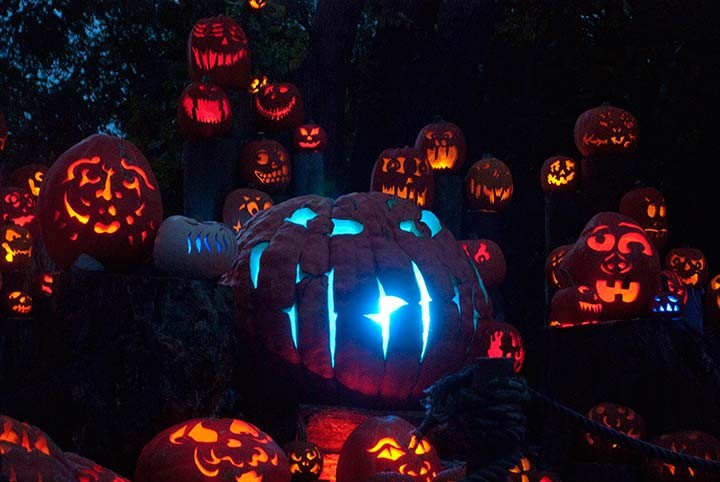 Carved pumpkins at the Jack-O-Lantern Spectacular at Roger Williams Park Zoo in Providence, Rhode Island.