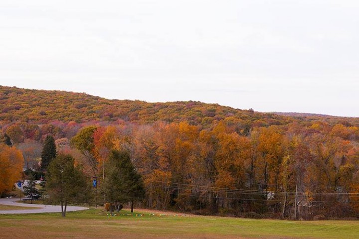 Please continue to submit to our fall foliage app as the colors fade in your region
