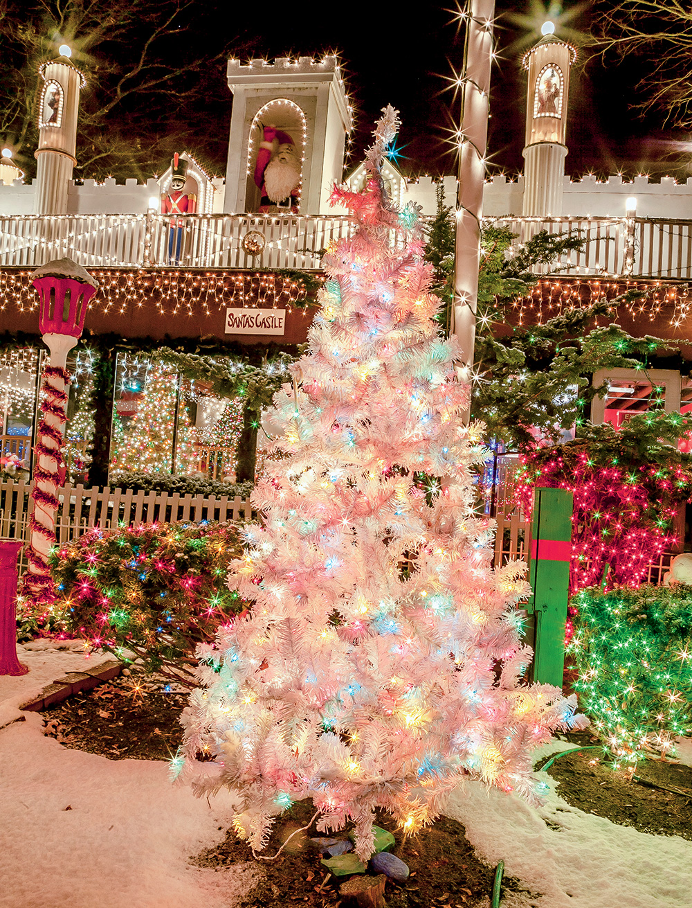 the Stone Zoo in Stoneham, Massachusetts, bursts with the Christmas cheer of an old-time extravaganza