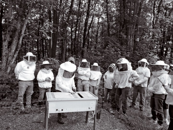 Students from Imagine That HONEY! in Swanzey, New Hampshire, tour a local bee yard. 