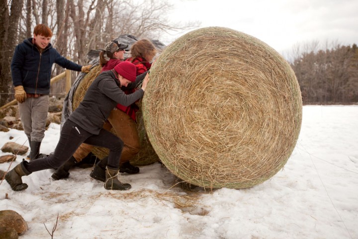 Students at The Farm School in Athol, Massachusetts, unwrap haylage for winter cattle feed.