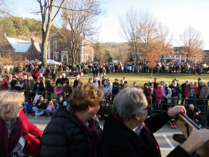 wassail parade woodstock green