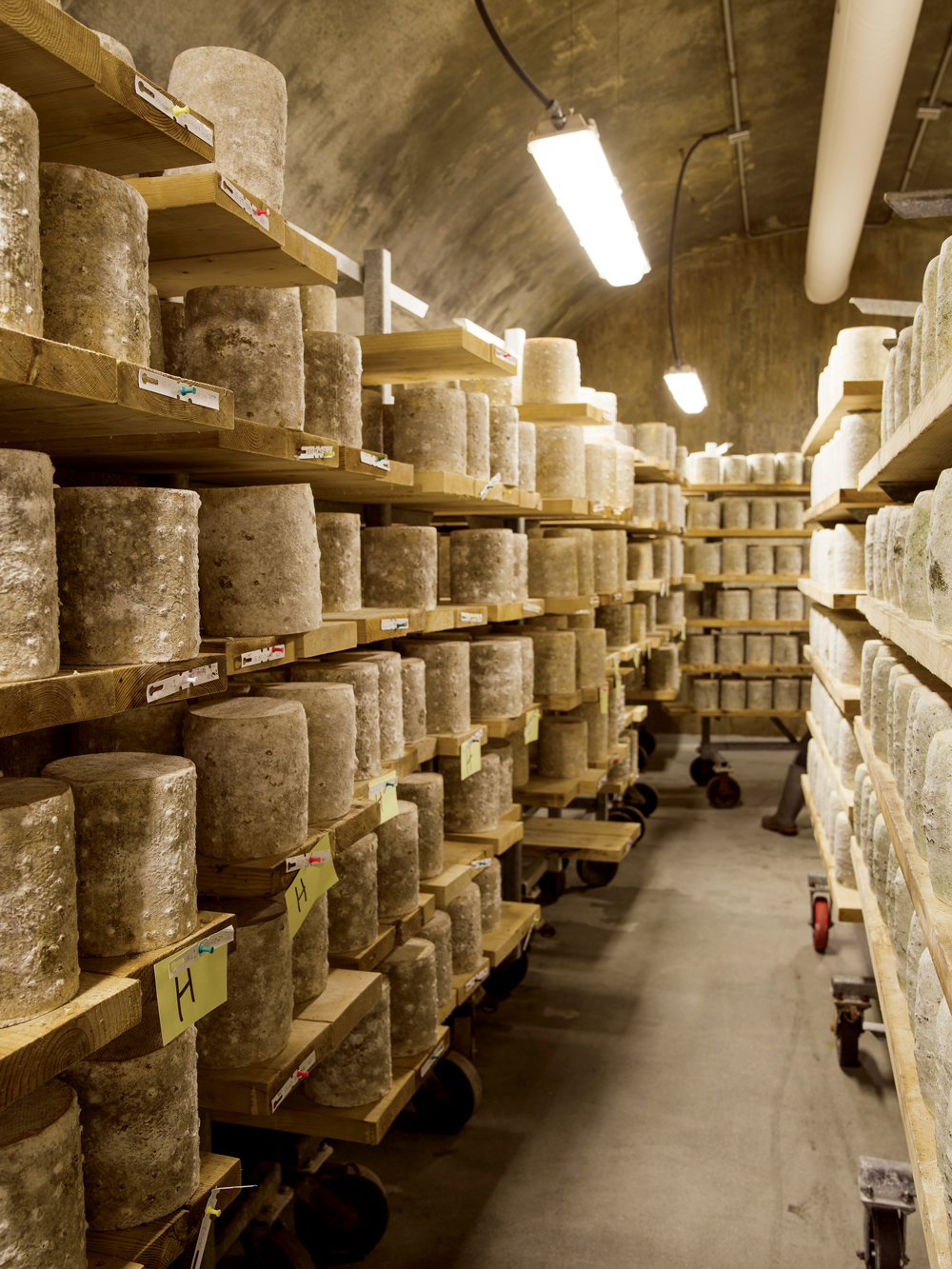 Greensboro’s Cellars at Jasper Hill, where fresh wheels of cheese age to perfect ripeness.