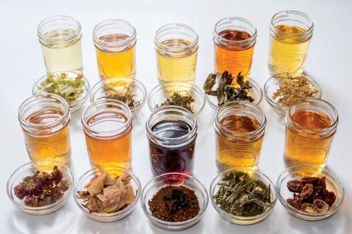 Tisanes and decoctions  (popularly known as “herbal teas”) made from an assortment of edible wild plants.