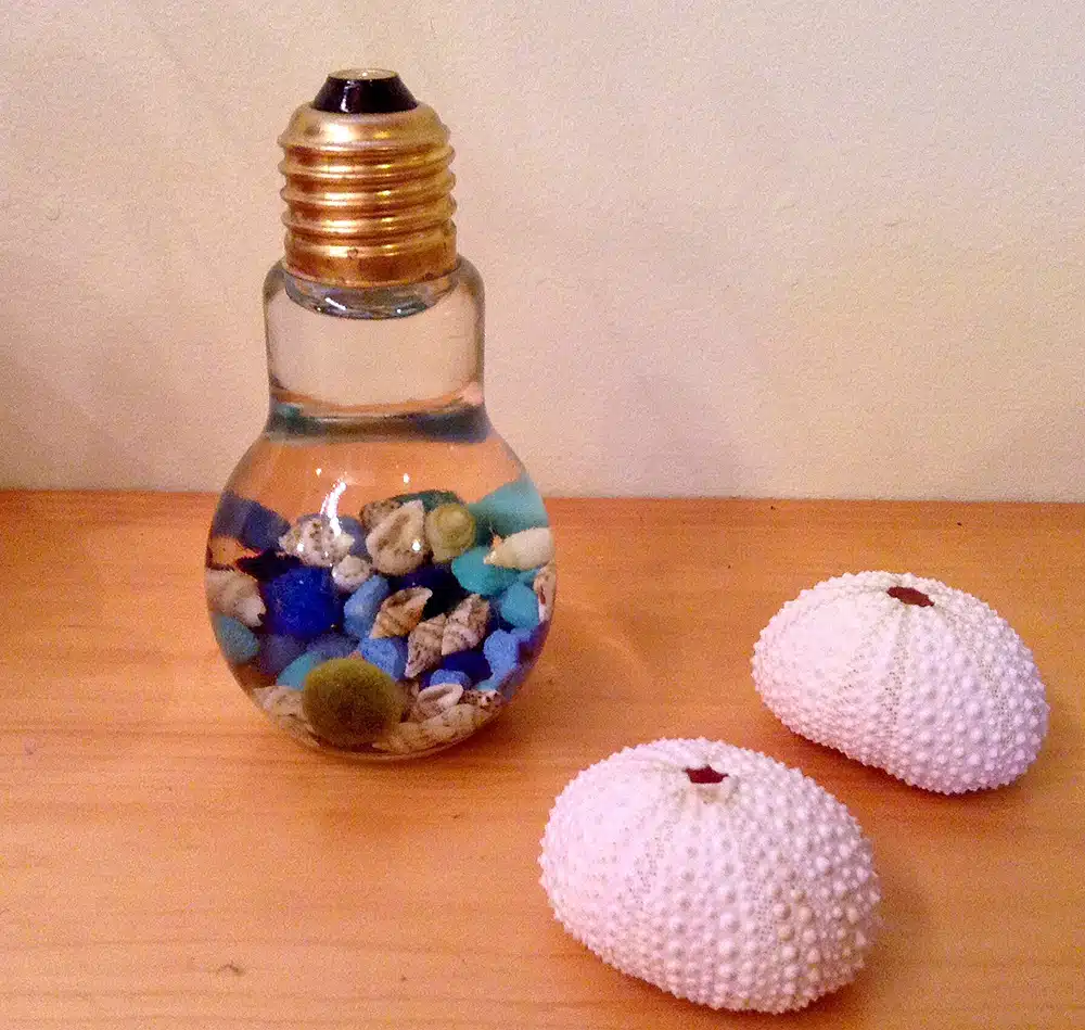 marimo garden