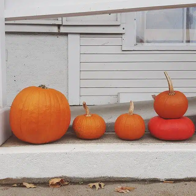 Pumpkins outside the Walpole Grocery in Walpole, NH.