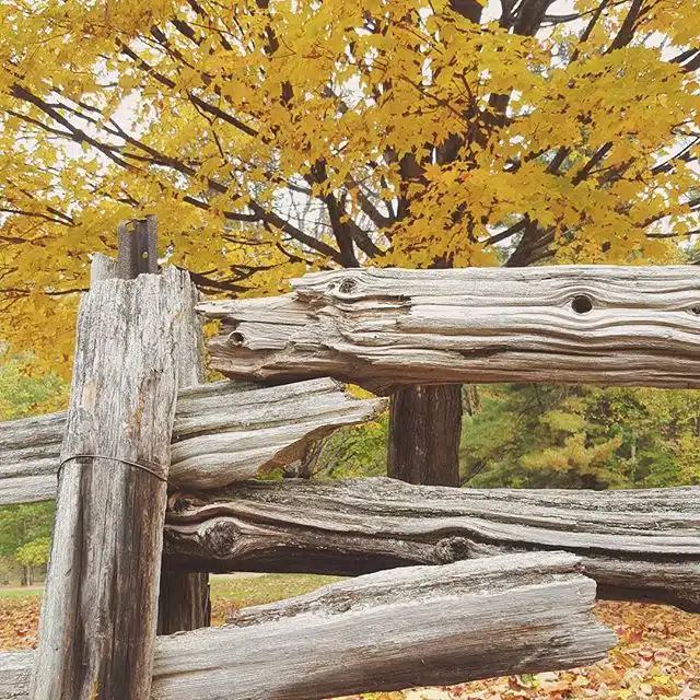 Branbury State Park in Salisbury, VT.