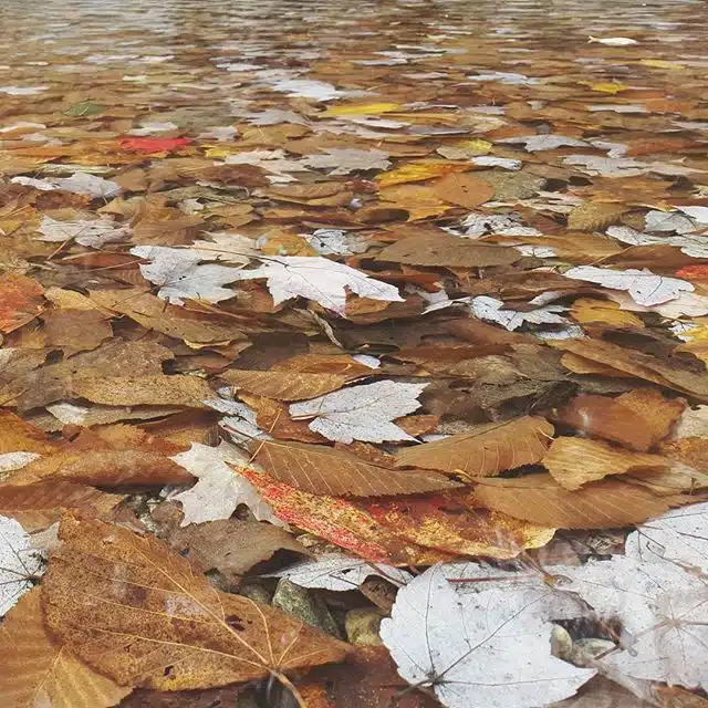 Signs of the changing seasons in Warren, Vermont.