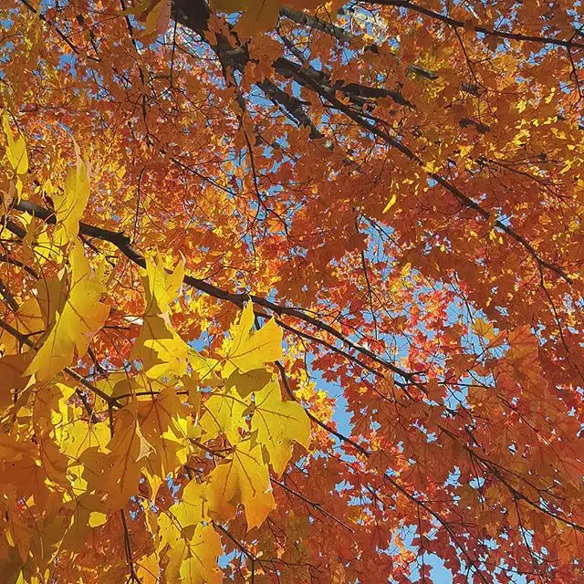 New England Tours Road Trip