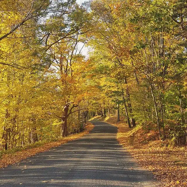 New England Tours Road Trip