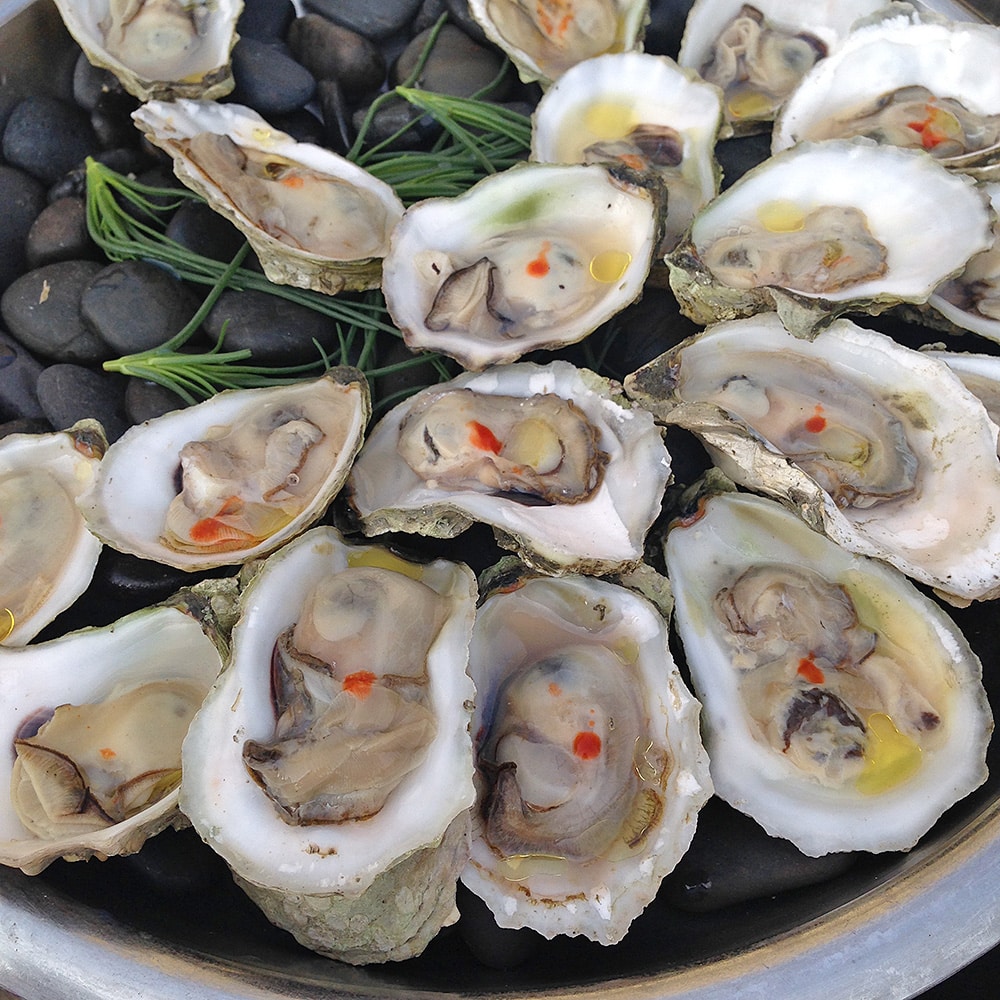 Oysters at Wood Fired at Laudholm Farm