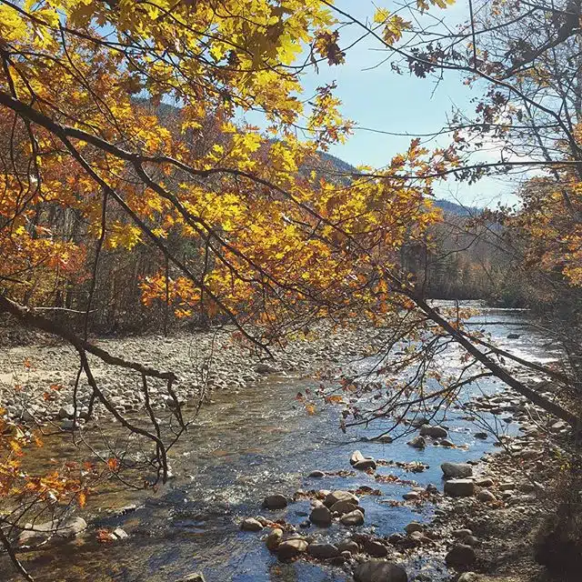 Enjoying the scenery in Bartlett, NH.
