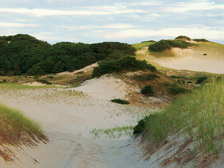Take a front-row seat to a unique ride through the Cape Cod National Seashore with Art’s Dune Tours.