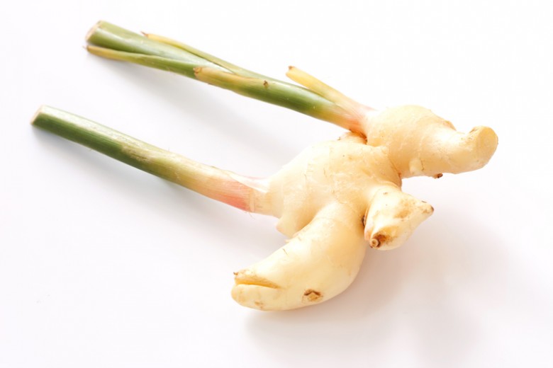 How to Grow Ginger Indoors New England Today