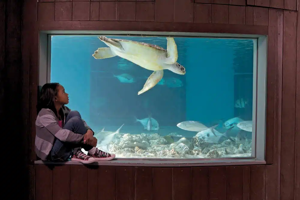 Best Attractions in Connecticut