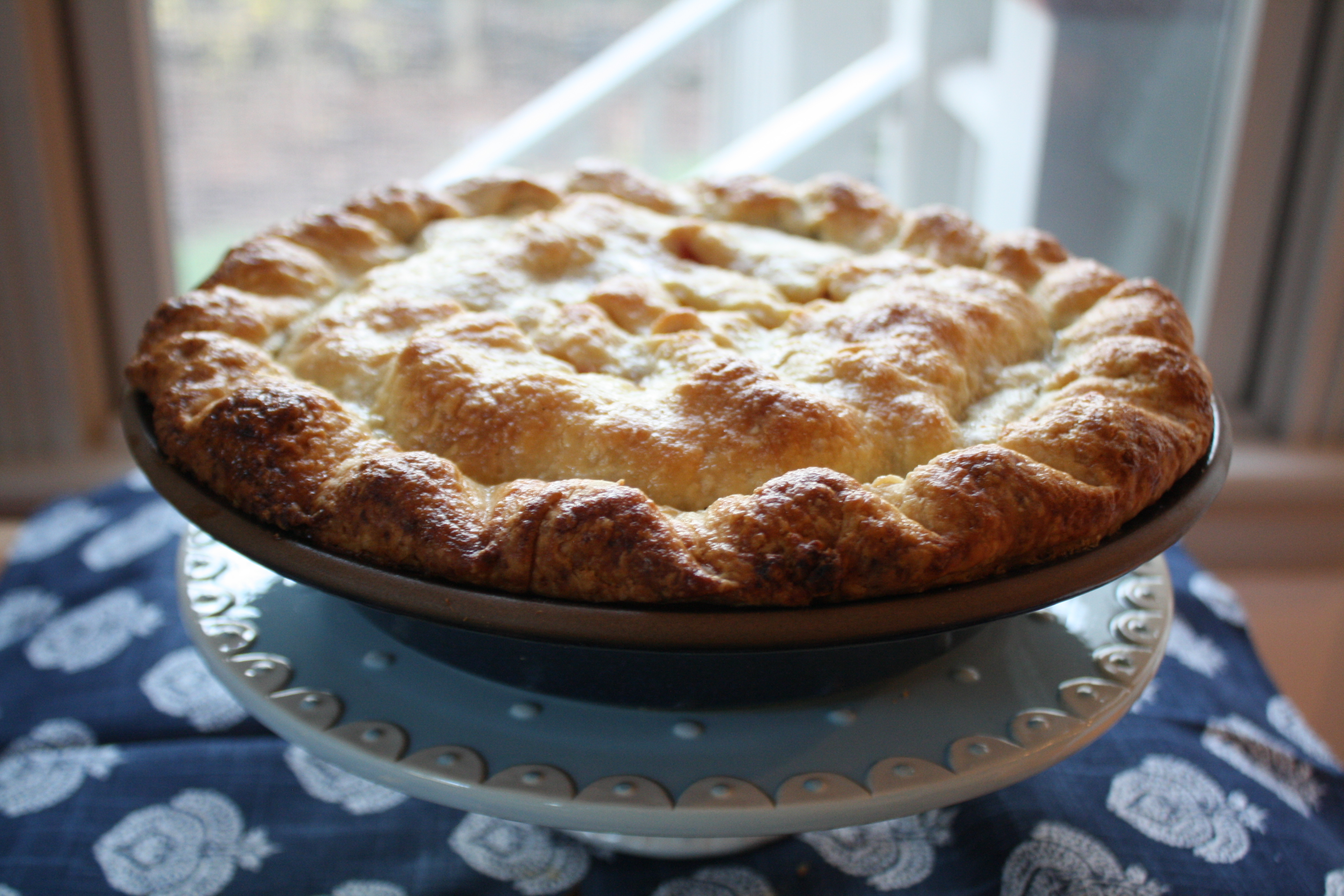 How to Make Rhubarb Pie | A Favorite Early Spring Dessert