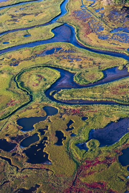 The intricate patterns and colors of Wallis Marsh from the air.