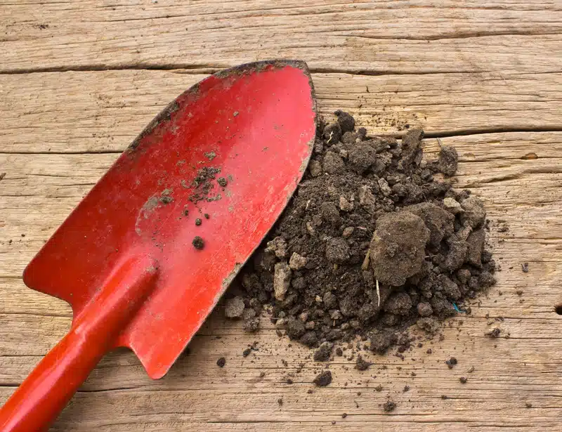 how to test your own soil