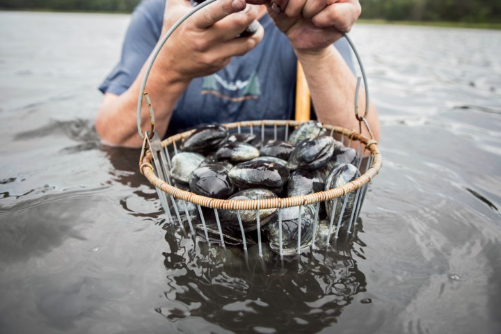 Dominic’s uncle Joe Quintevalla figures out the permits and rules for clamming and mussel fishing. Here, the family gathers dinner from Salt Pond in Orleans.