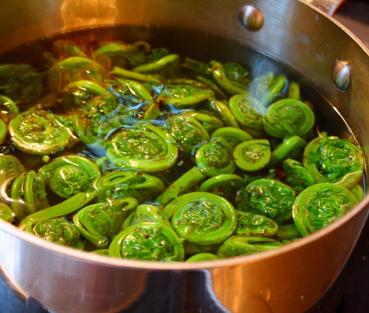 Boiling in salted water not only imparts flavor, it ensures that the fiddleheads are thoroughly and safely cooked.