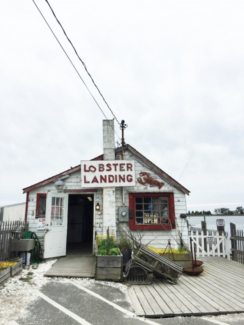 Lobster Landing in Clinton, Connecticut