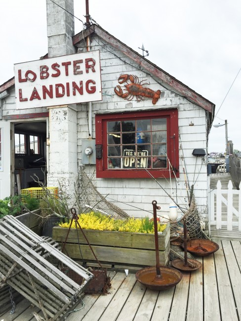Lobster Landing | The Best Lobster Roll in CT?