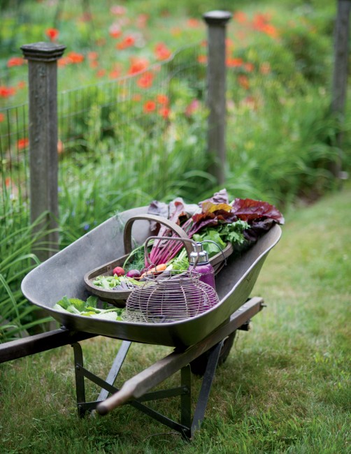 A colorful summer harvest.  In addition to vegetables, the Elliotts grow a wide range of fruits and berries, herbs, and ornamental flowers, trees, and shrubs.