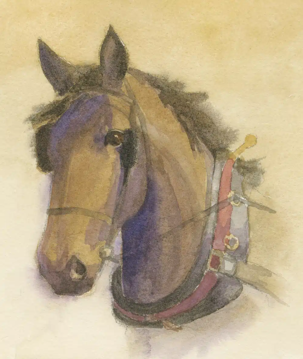 A watercolor painting of a horse's head, featuring a brown horse wearing a bridle with a red and white strap.