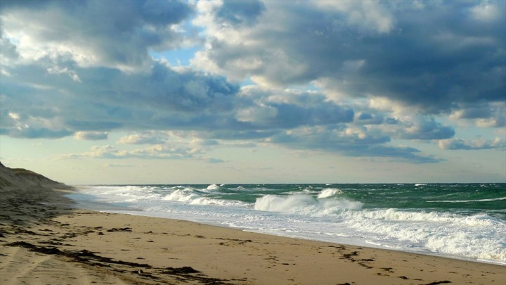 The Seashore’s unspoiled beaches offer quiet stretches of sand, even on a prime summer day. 