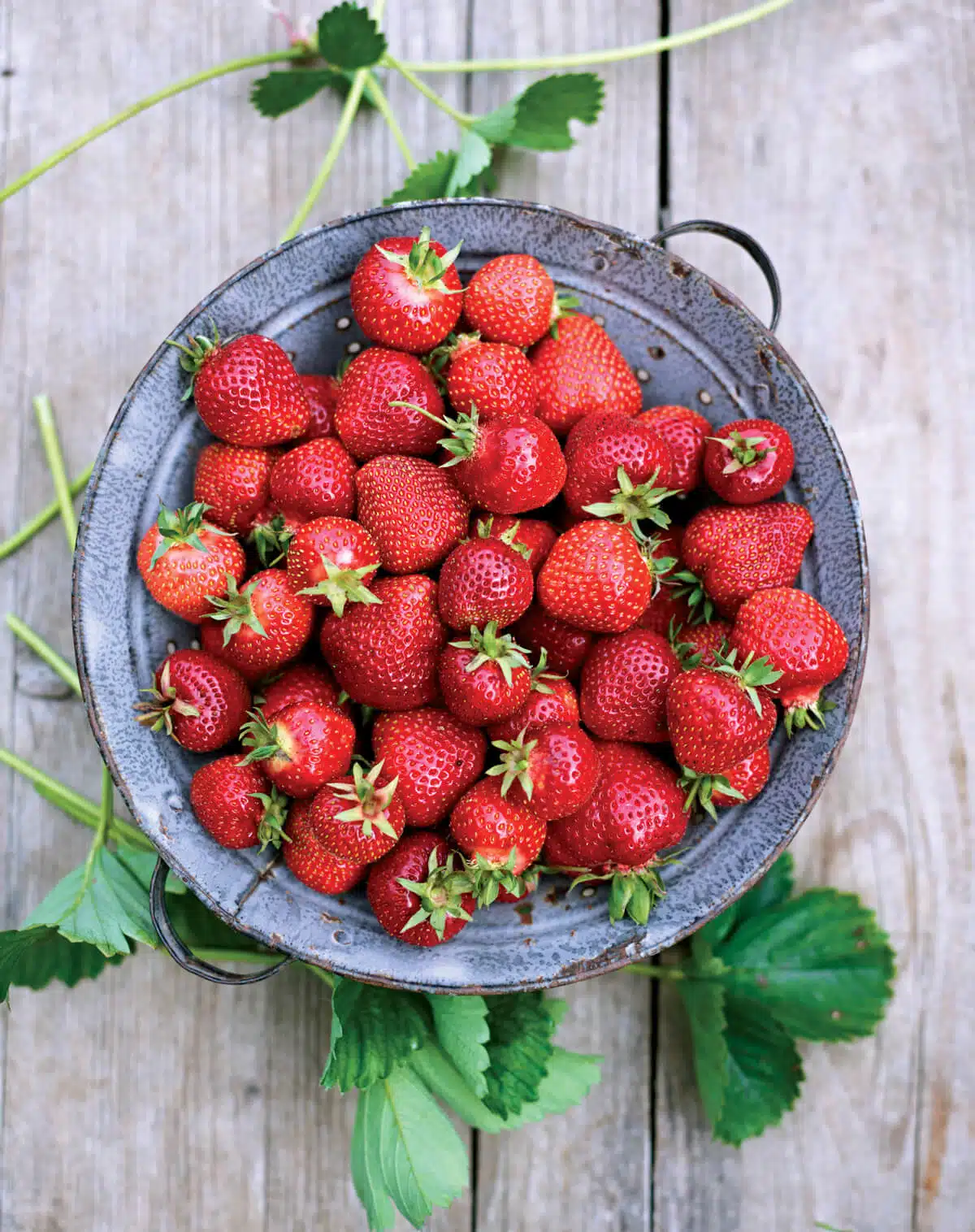 Best Strawberry Recipes | 10 Summer Berry Favorites