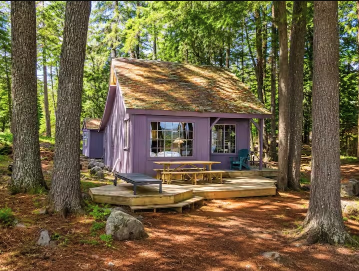 A small purple cabin with a deck and picnic table sits among tall trees in a sunlit forest clearing.
