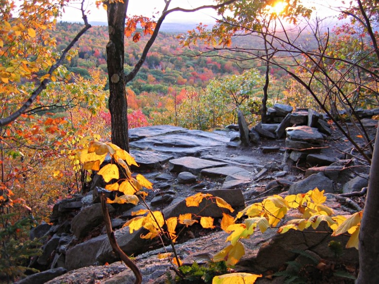 Rocky outcrop with scattered stones and trees, overlooking a colorful autumn forest at sunset for one of the best scenic New England drive-up mountain experiences.