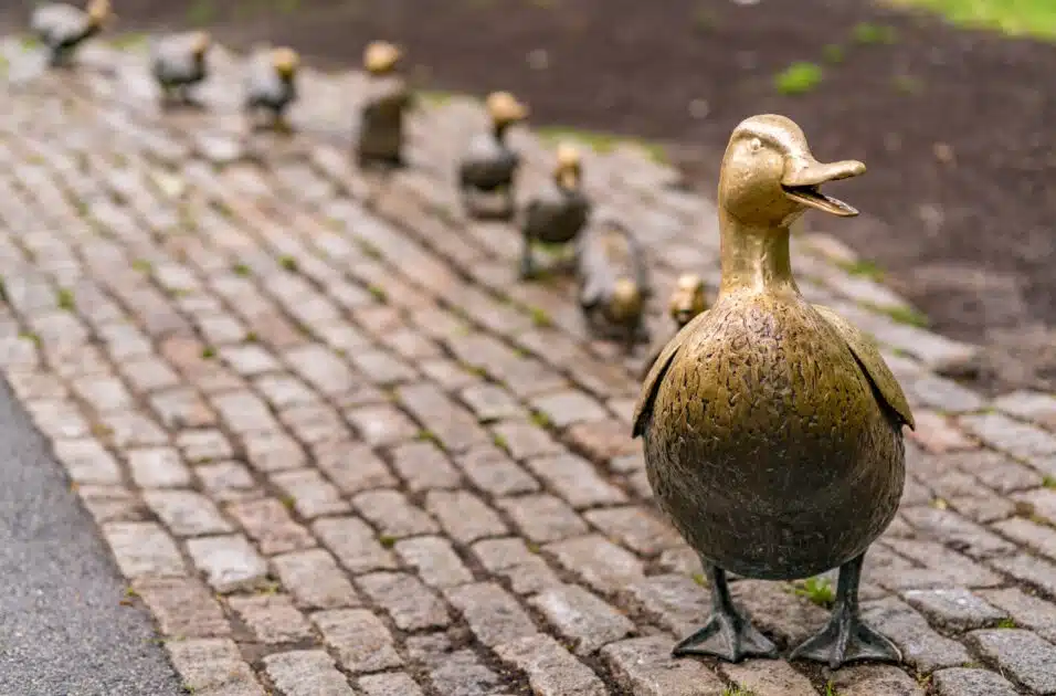 Bronze duck sculptures in a row on a cobblestone path, with grass and dirt in the background.