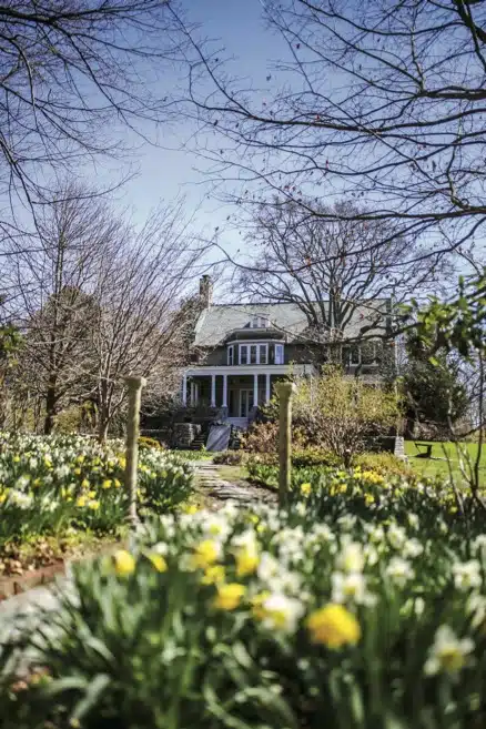Places to See Daffodils in New England
