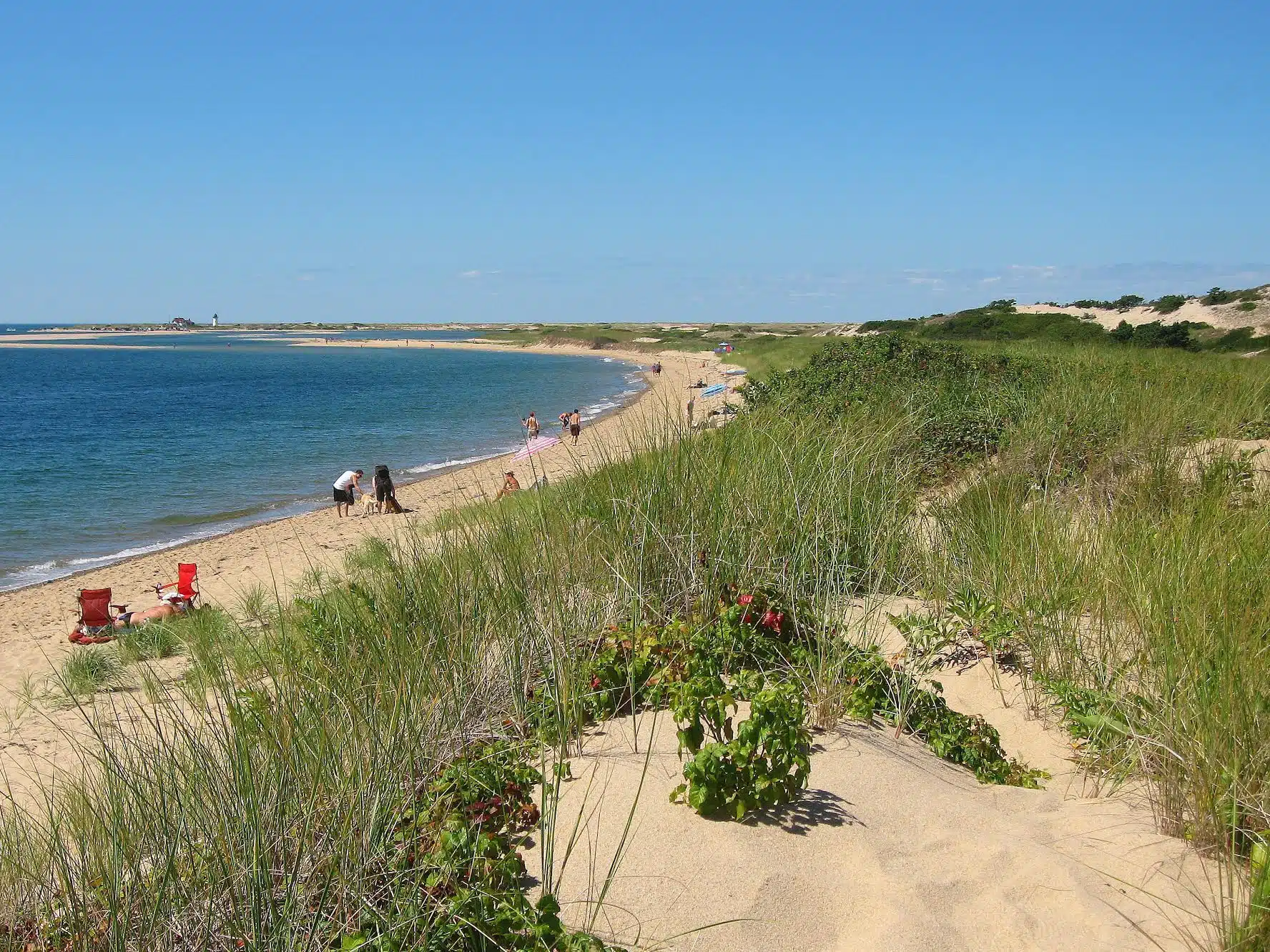 10 Reasons to Visit Provincetown Right Now