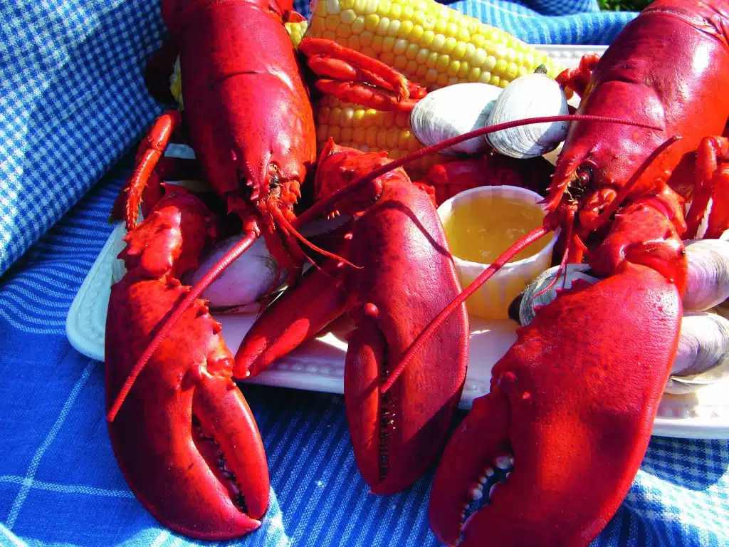 Woodman's of Essex in Essex, Massachusetts